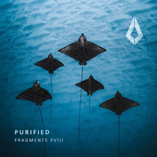 VA - Purified Fragments XVIII [PF0145BP]